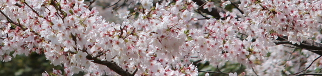 IMG_2788.JPG